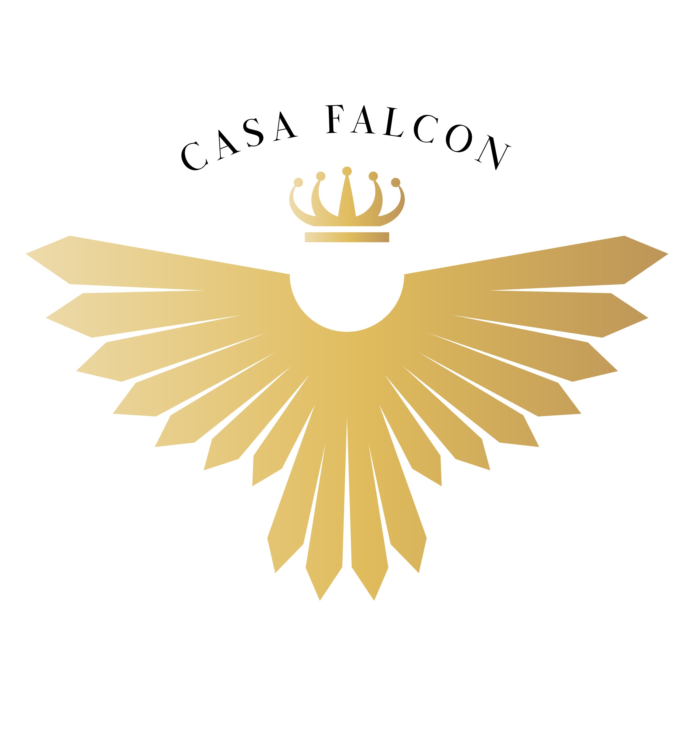 Casa Falcon